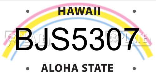 BJS5307 Hawaii License Plate