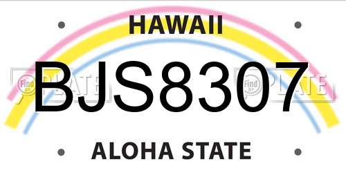 BJS8307 Hawaii License Plate