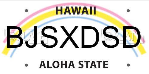 BJSXDSD Hawaii License Plate