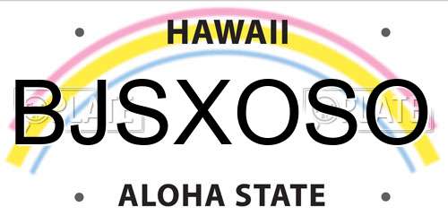 BJSXOSO Hawaii License Plate