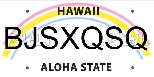 BJSXQSQ Hawaii License Plate