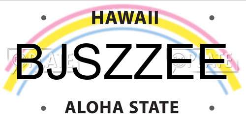 BJSZZEE Hawaii License Plate