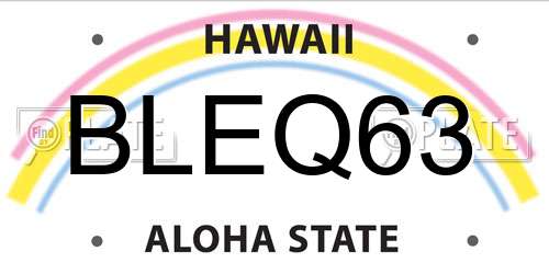 BLEQ63 Hawaii License Plate