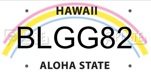 BLGG82 Hawaii License Plate