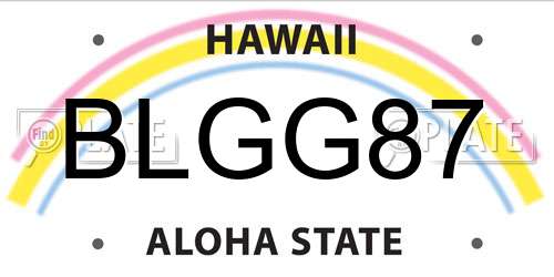 BLGG87 Hawaii License Plate