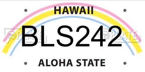 BLS242 Hawaii License Plate