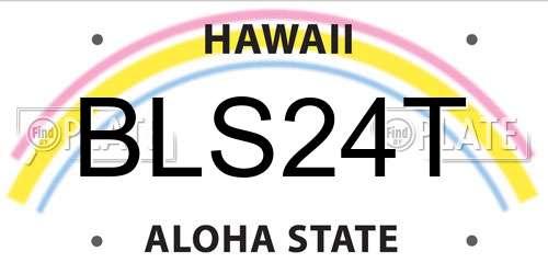 BLS24T Hawaii License Plate
