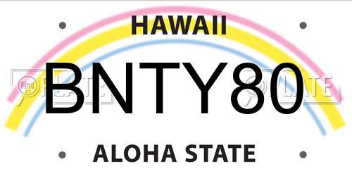 BNTY80 Hawaii License Plate