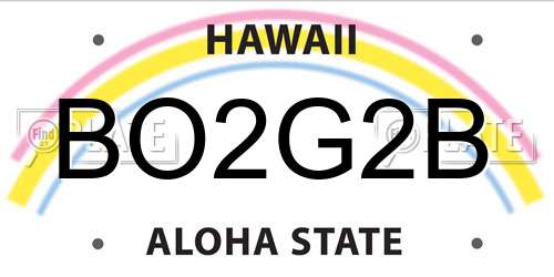 BO2G2B Hawaii License Plate