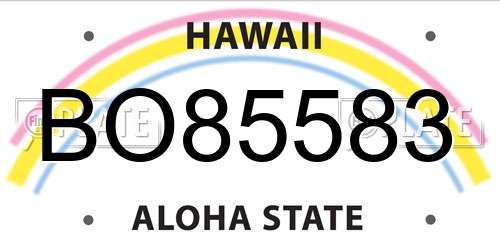 BO85583 Hawaii License Plate