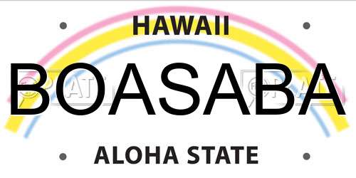 BOASABA Hawaii License Plate