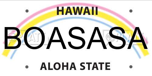 BOASASA Hawaii License Plate