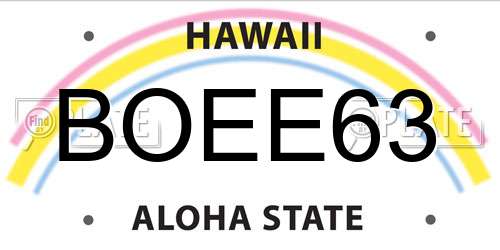 BOEE63 Hawaii License Plate