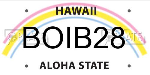 BOIB28 Hawaii License Plate