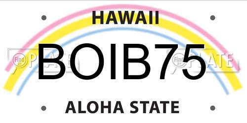 BOIB75 Hawaii License Plate