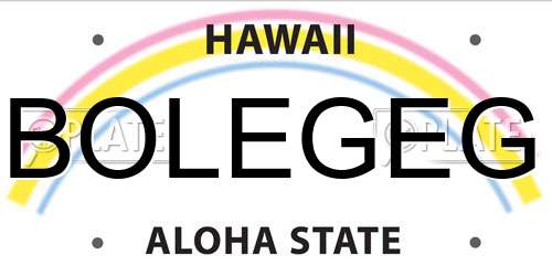 BOLEGEG Hawaii License Plate