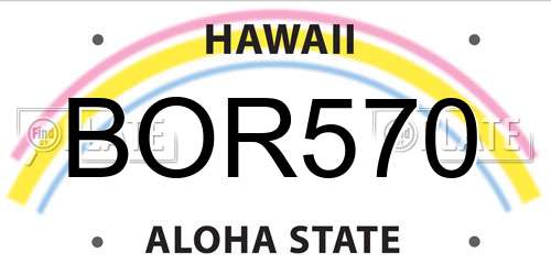 BOR570 Hawaii License Plate