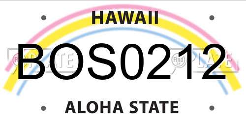 BOS0212 Hawaii License Plate