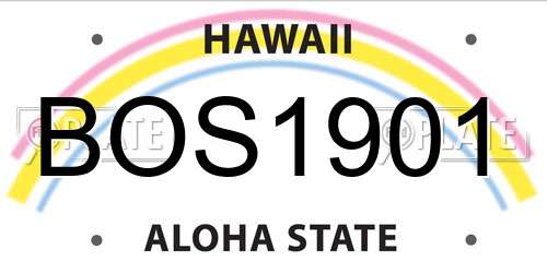 BOS1901 Hawaii License Plate