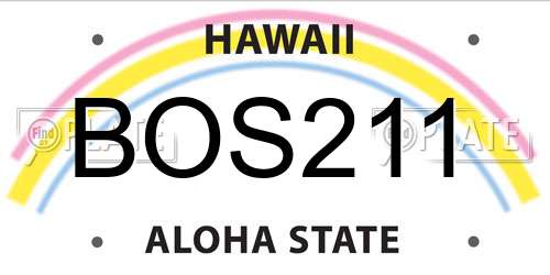BOS211 Hawaii License Plate