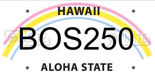 BOS250 Hawaii License Plate