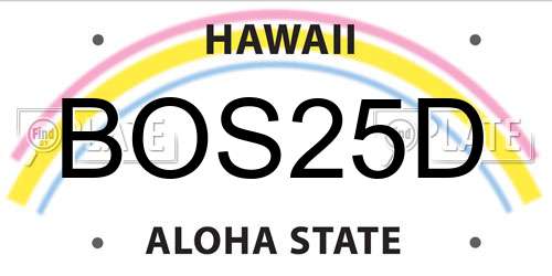 BOS25D Hawaii License Plate