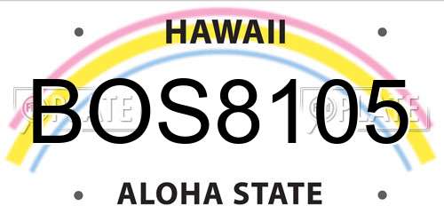 BOS8105 Hawaii License Plate