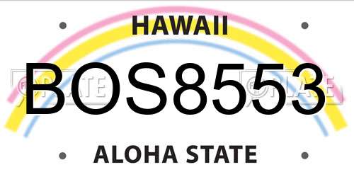 BOS8553 Hawaii License Plate