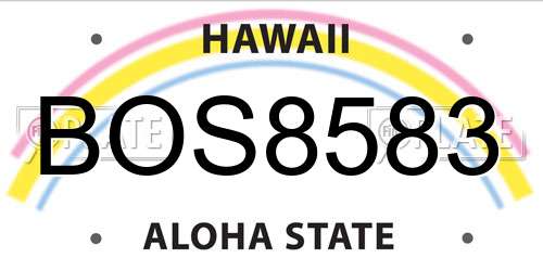 BOS8583 Hawaii License Plate