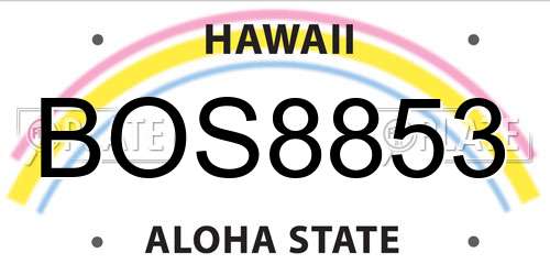 BOS8853 Hawaii License Plate