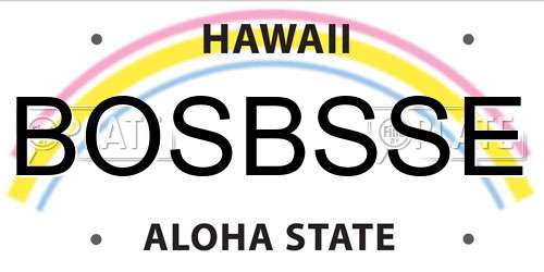 BOSBSSE Hawaii License Plate