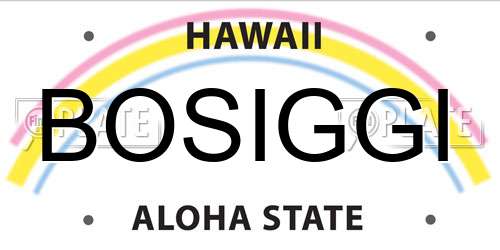 BOSIGGI Hawaii License Plate