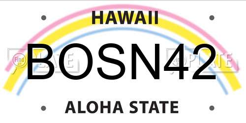 BOSN42 Hawaii License Plate