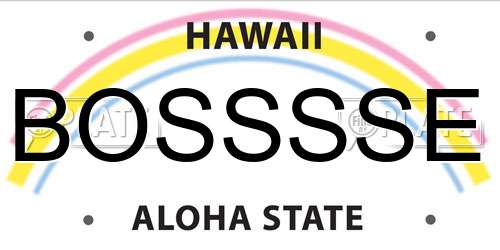 BOSSSSE Hawaii License Plate