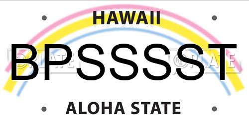 BPSSSST Hawaii License Plate