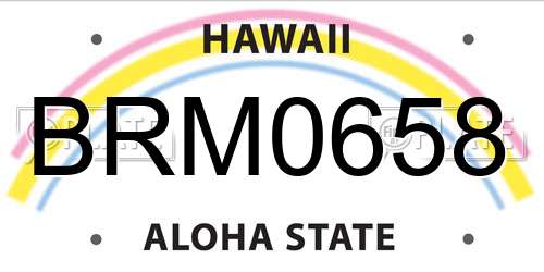 BRM0658 Hawaii License Plate