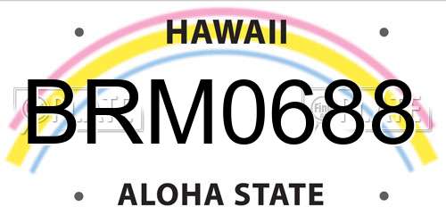 BRM0688 Hawaii License Plate