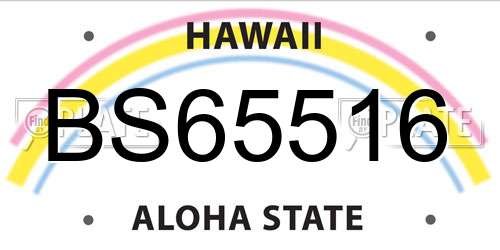 BS65516 Hawaii License Plate