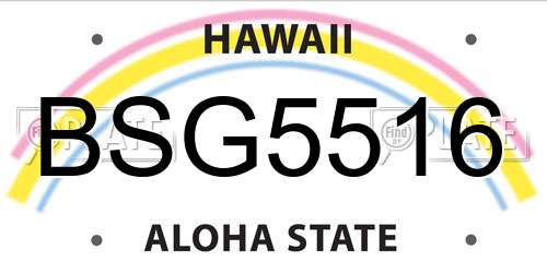 BSG5516 Hawaii License Plate