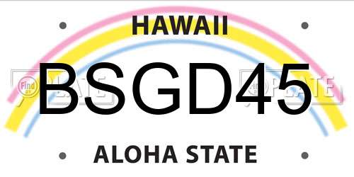 BSGD45 Hawaii License Plate