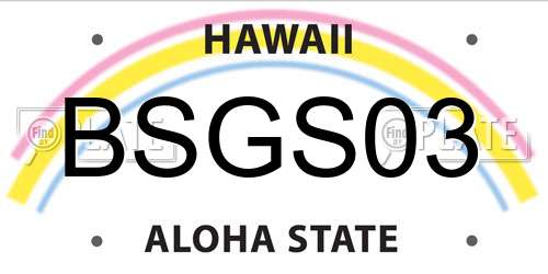 BSGS03 Hawaii License Plate