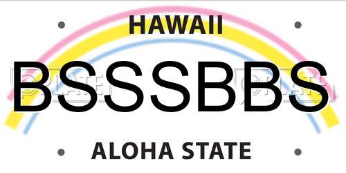 BSSSBBS Hawaii License Plate