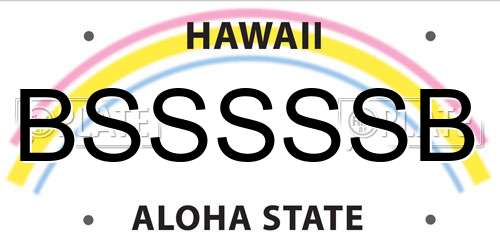 BSSSSSB Hawaii License Plate