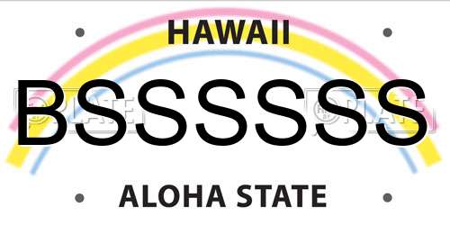 BSSSSSS Hawaii License Plate