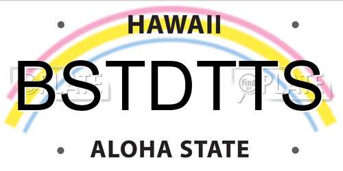 BSTDTTS Hawaii License Plate