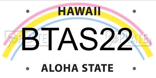 BTAS22 Hawaii License Plate