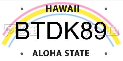 BTDK89 Hawaii License Plate