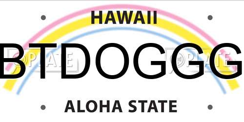 BTDOGGG Hawaii License Plate