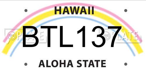 BTL137 Hawaii License Plate