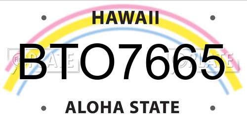 BTO7665 Hawaii License Plate